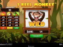 1 Reel Monkey